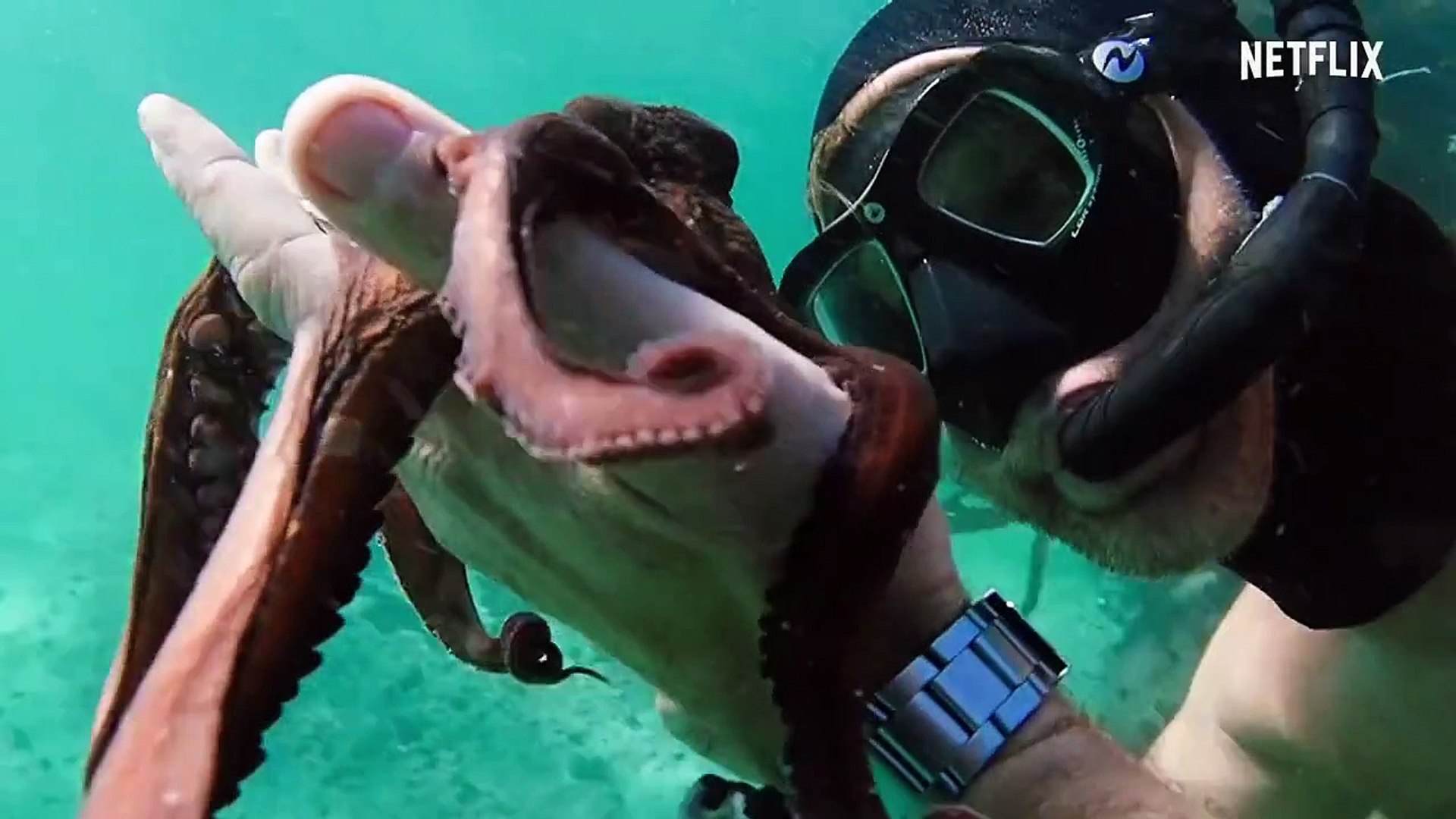 ⁣My Octopus Teacher Fragman