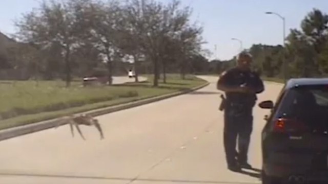 Polizist: Er sieht nicht, was sich in seinem Rücken an ihn heranschleicht!