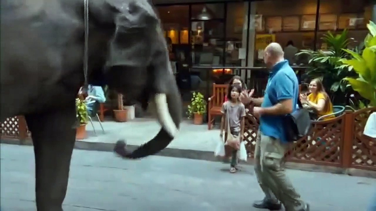 My Lucky Elephant Fragman