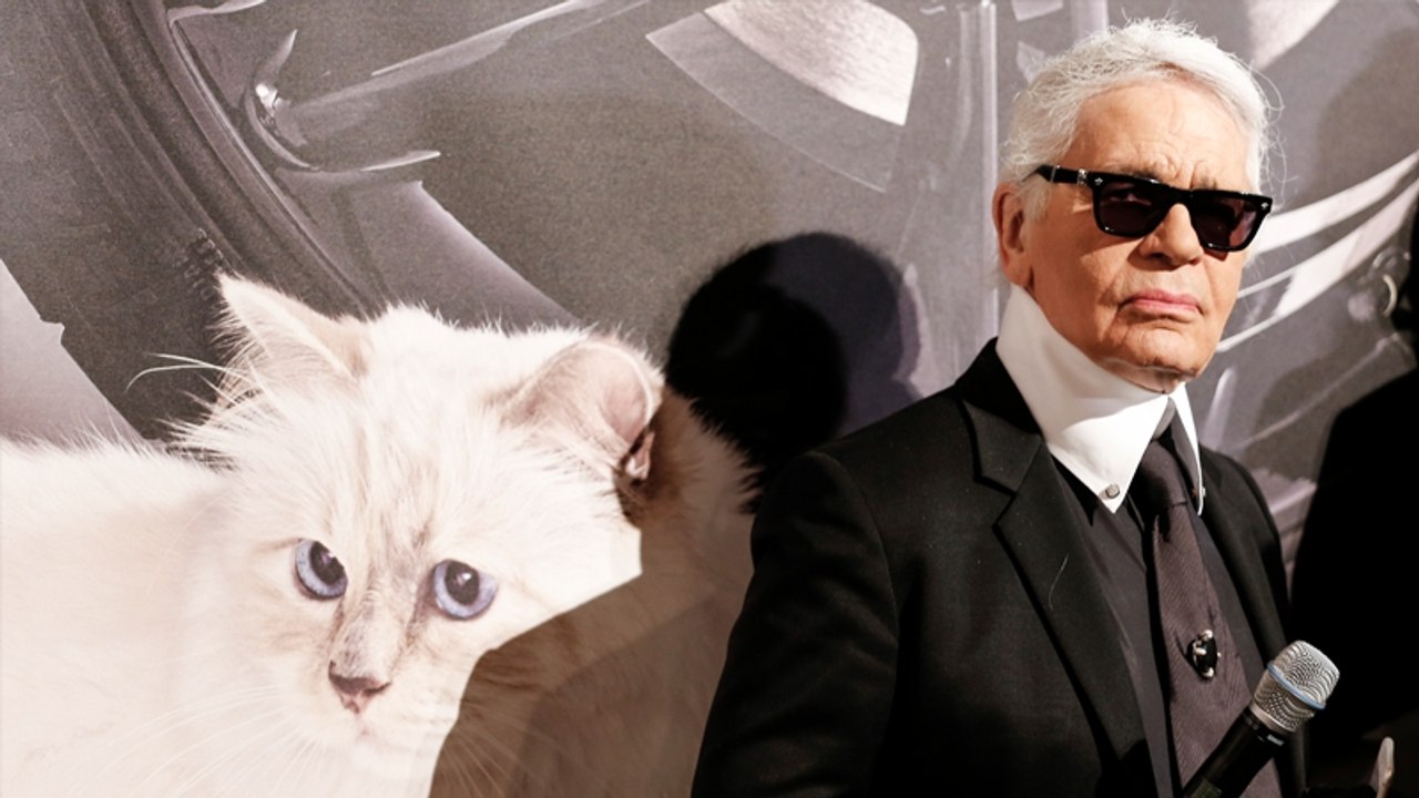 Karl Lagerfeld hinterlässt großes Erbe: Das Schicksal seiner Katze sorgt für Entsetzen