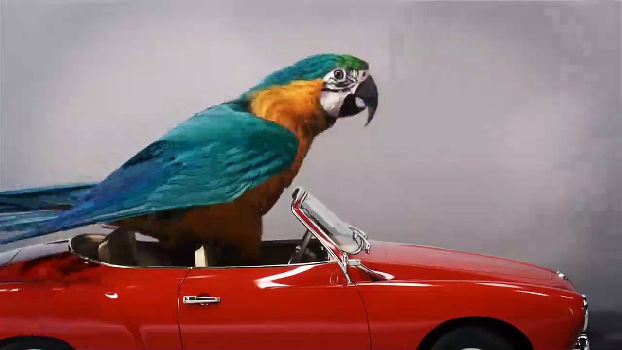 Dolittle Dublajlı Video - Oyuncu Seçmeleri