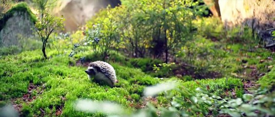 Küçük Cadı Dublajlı Fragman