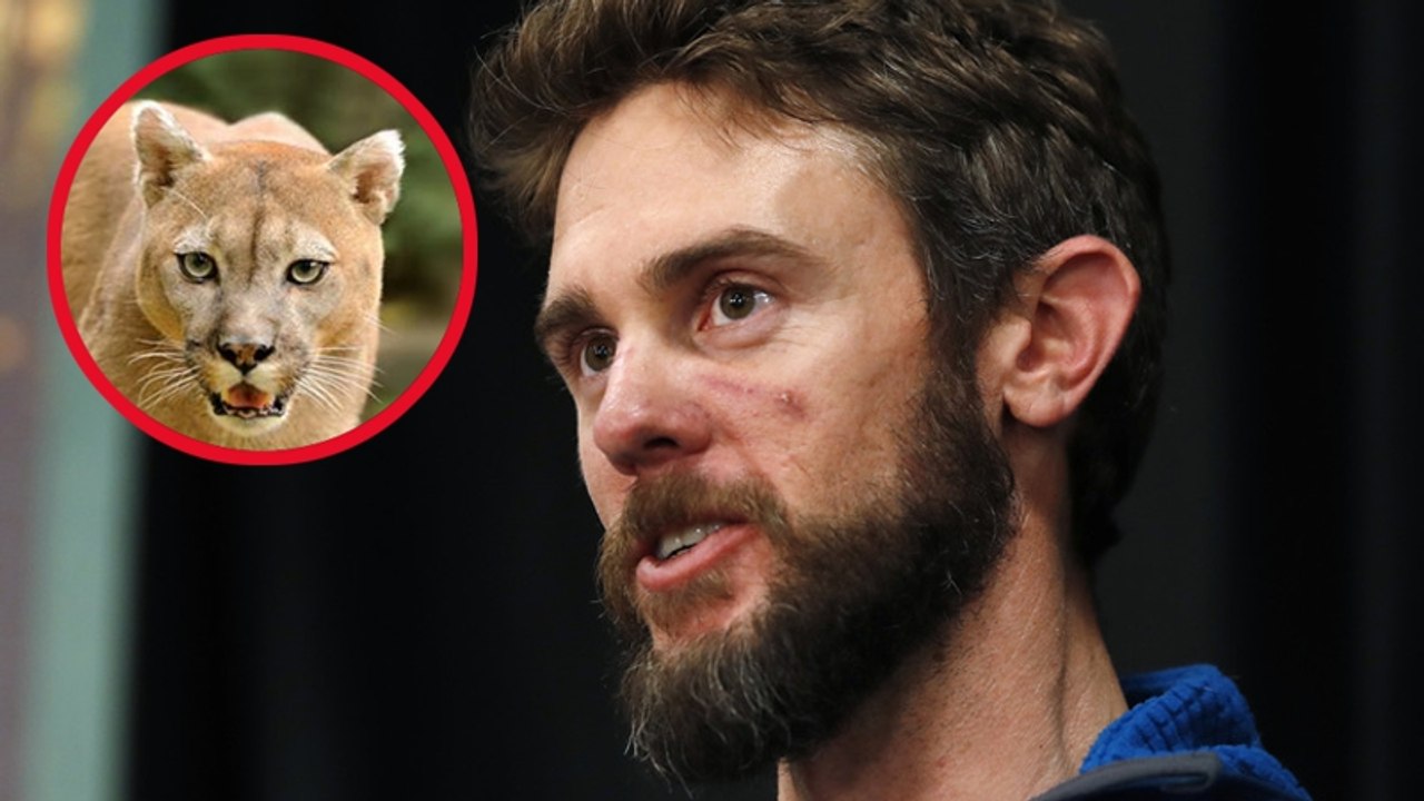 Er überlebt puma-attacke mithilfe dieser kampftechnik