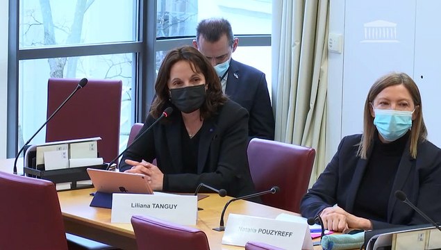 Commission des affaires étrangères : M. Franck Riester, ministre délégué chargé du commerce extérieur et de l’attractivité, sur la préparation du Conseil des affaires étrangères (commerce) du 14 février 2022 - Mercredi 2 février 2022