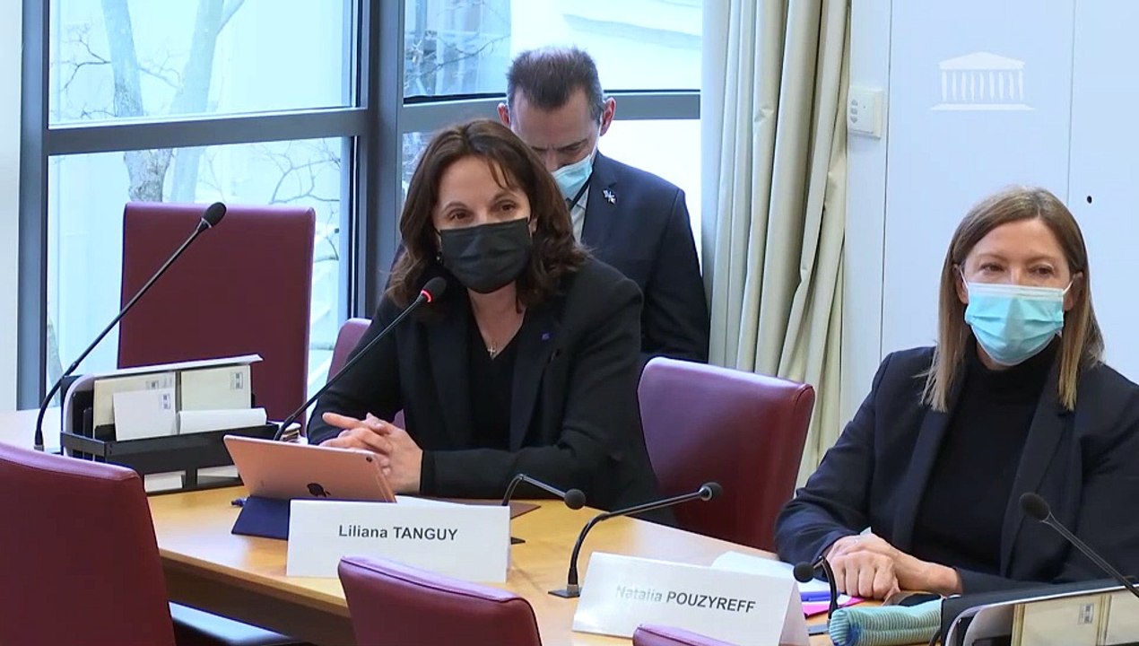 Commission des affaires étrangères : M. Franck Riester, ministre délégué chargé du commerce extérieur et de l’attractivité, sur la préparation du Conseil des affaires étrangères (commerce) du 14 février 2022 - Mercredi 2 février 2022