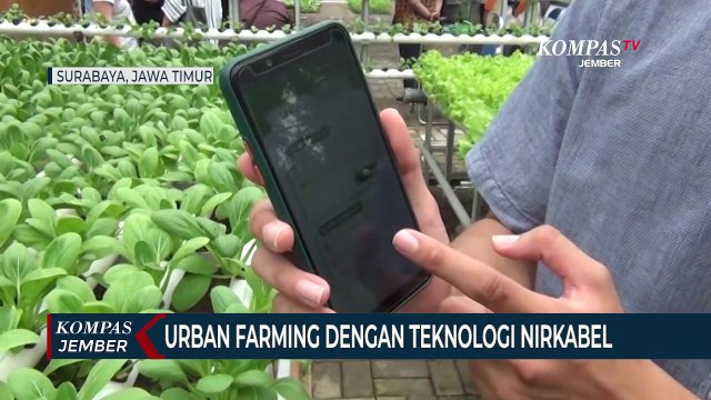 Pertanian Perkotaan dengan Memanfaatkan Teknologi Nirkabel