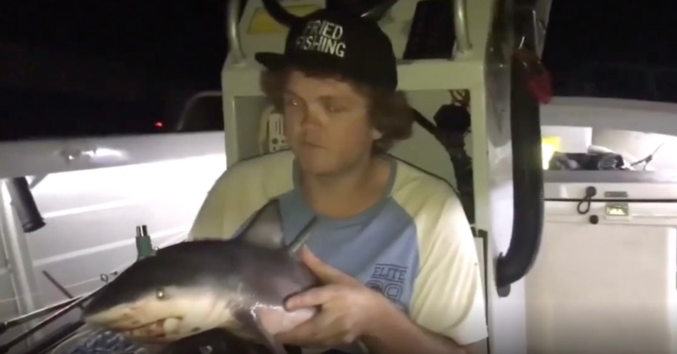 Er steckt eine Bong in den Baby-Hai - seine nächste Aktion macht rasend (Video)