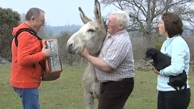 Thierry Olive (L'Amour est dans le pré) : Découvrez son ''incroyable'' clip pour sa première chanson