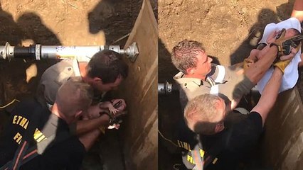 Passanten hören Schreie aus Kanalrohr: Entdeckung lässt das Blut in den Adern gefrieren