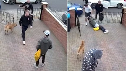 Ein Sohn verteidigt seine kranke Mutter durch ein fettes K.o. (Video)