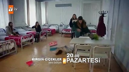 Kırgın Çiçekler 68.Bölüm Fragmanı