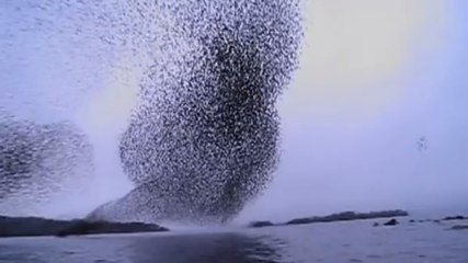 Pendant une sortie en canoë, ces femmes vont vivre un moment exceptionnel