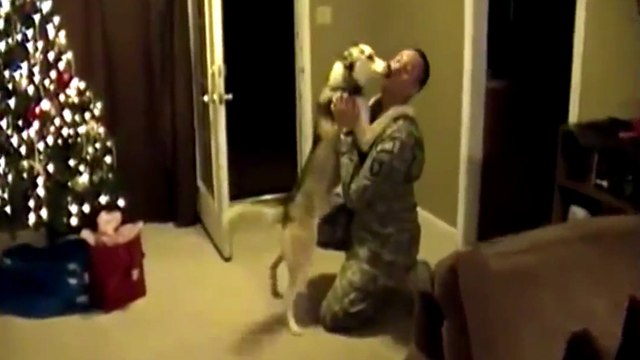 Découvrez les réactions des chiens retrouvant leurs maîtres après des mois d'absence