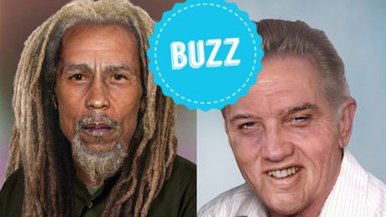 Bob Marley, Elvis Presley... que seraient devenues ces stars aujourd'hui ?