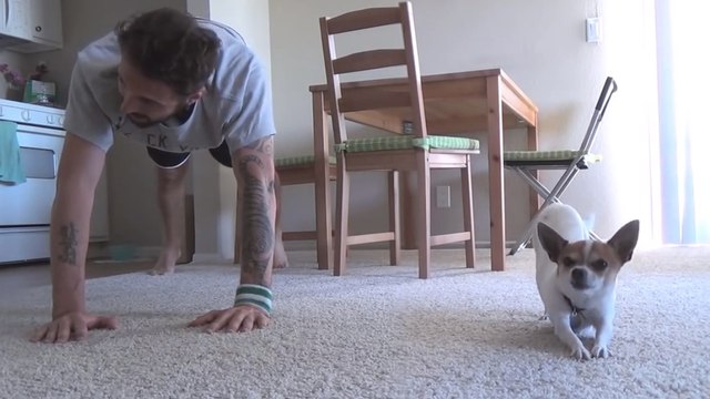 Cet homme fait du sport avec son chien. Vous n'allez pas en revenir