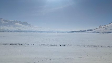 Aşırı soğuklar göletleri dondurdu