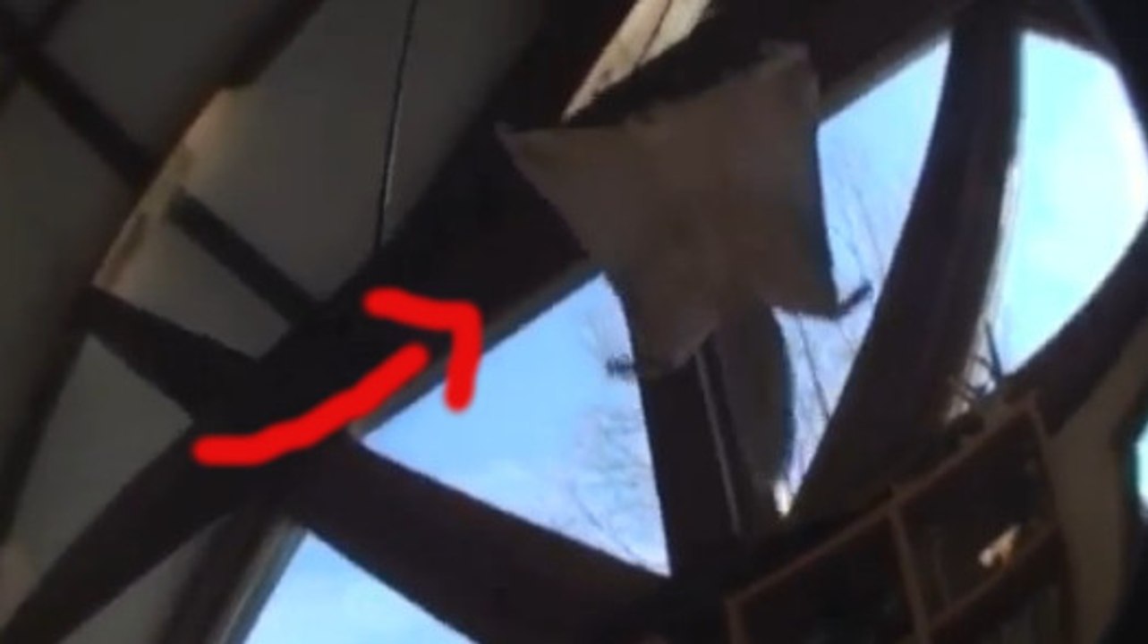 Un écureuil volant fait quelques sauts