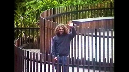 Noah Dillon - Alive And Kicking