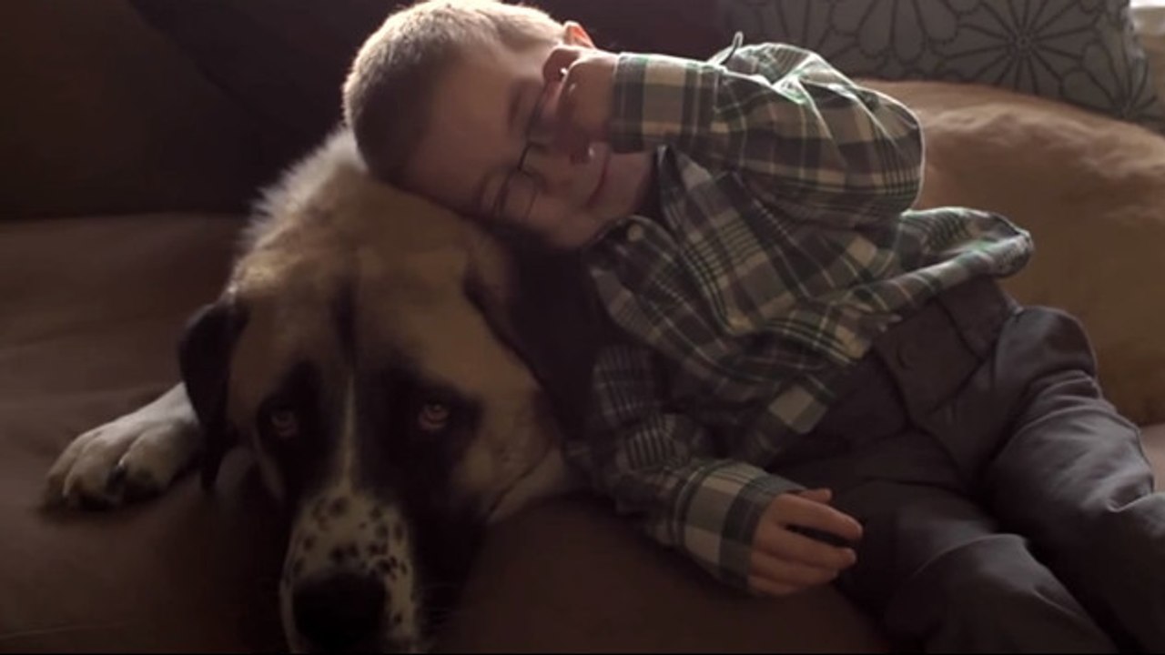 Cet enfant et ce chien sont devenus inséparables. Leur histoire va vous émouvoir