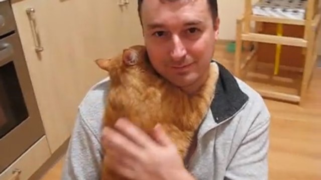 Ce chat est le plus affectueux du monde