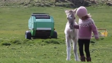 Cette petite fille a beaucoup de chance. Son meilleur ami n'est pas comme les autres