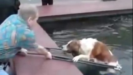 Ces gens sont de véritables héros. Ils sont venus au secours d'animaux