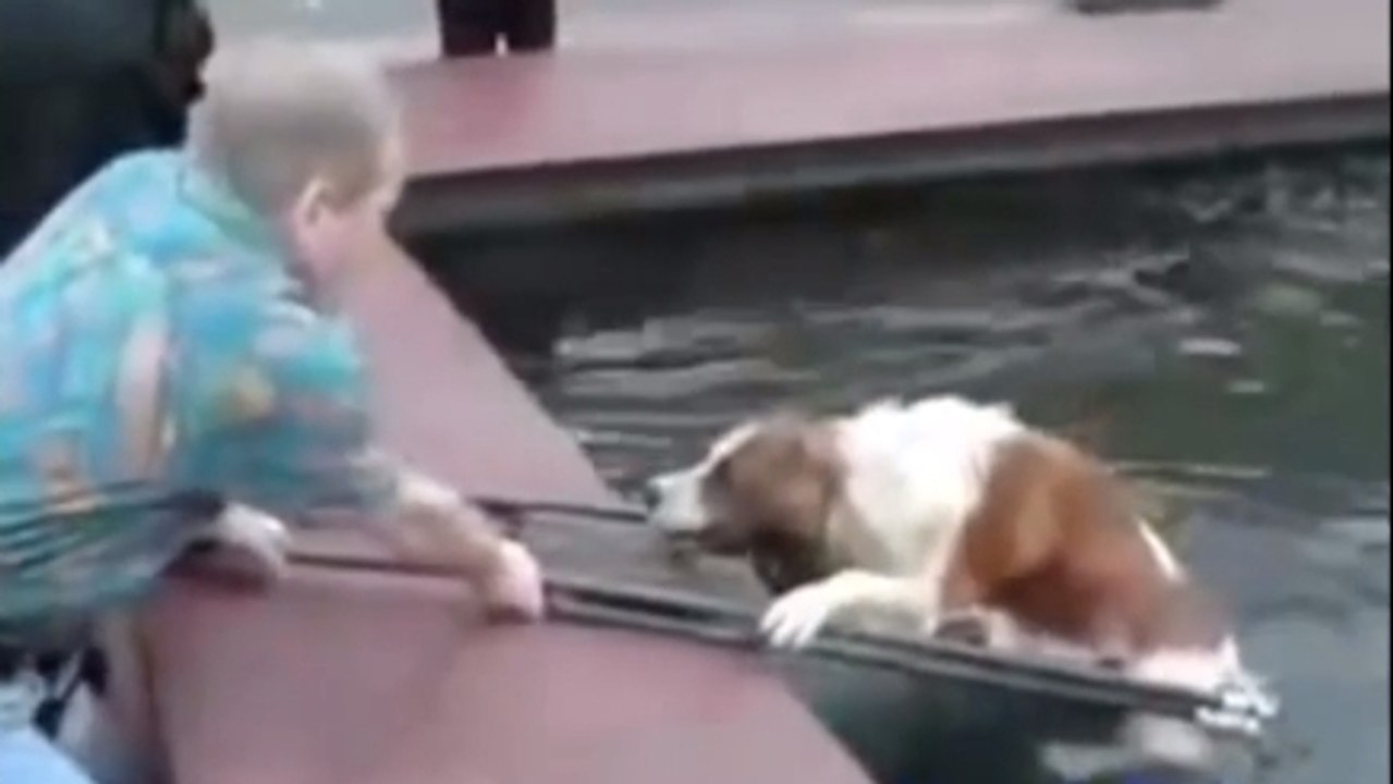 Ces gens sont de véritables héros. Ils sont venus au secours d'animaux