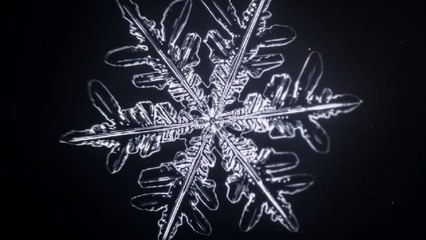 Découvrez comment se forment les flocons de neige
