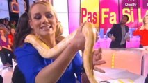 Touche pas à mon poste : Elodie Gossuin chante avec... un serpent !