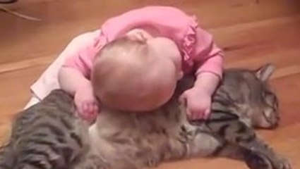 Ce chat est le plus patient du monde. Rien ne peut le perturber