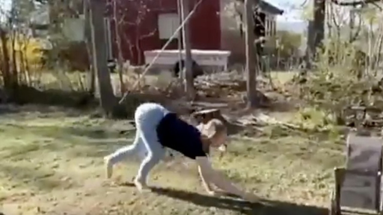 Junge Frau bewegt sich wie ein Pferd: Ihre Aufnahmen gehen viral (Video)