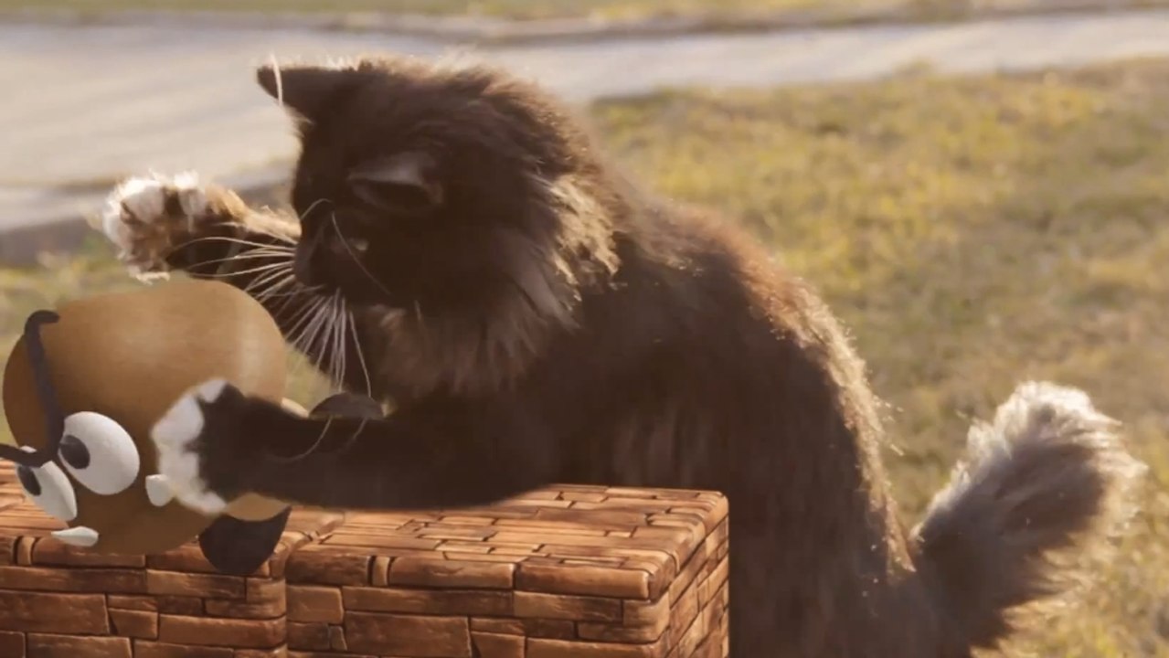 Ce chat se prend pour Super Mario. Il va vous faire mourir de rire
