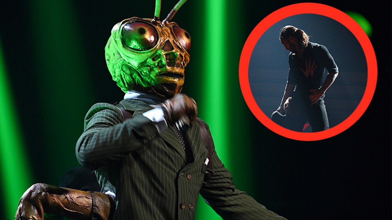 'Masked Singer' fliegt auf: Dieser Promi ist mit großer Sicherheit der Grashüpfer