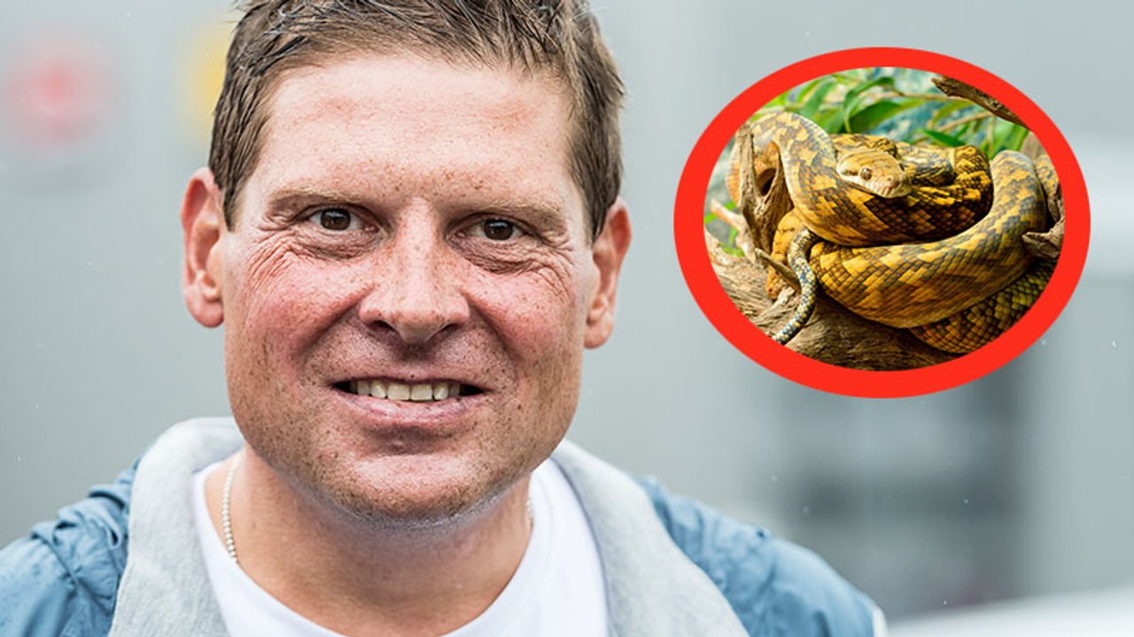 Nach seiner Scheidung: Jan Ullrich bekommt ein verlockendes Angebot