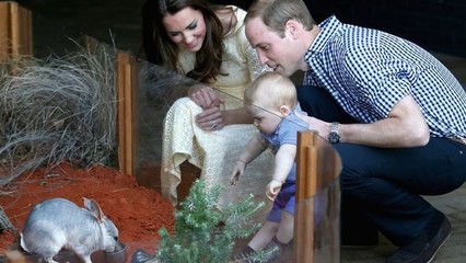 Kate Middleton : sortie en famille au zoo en Australie avec le prince George
