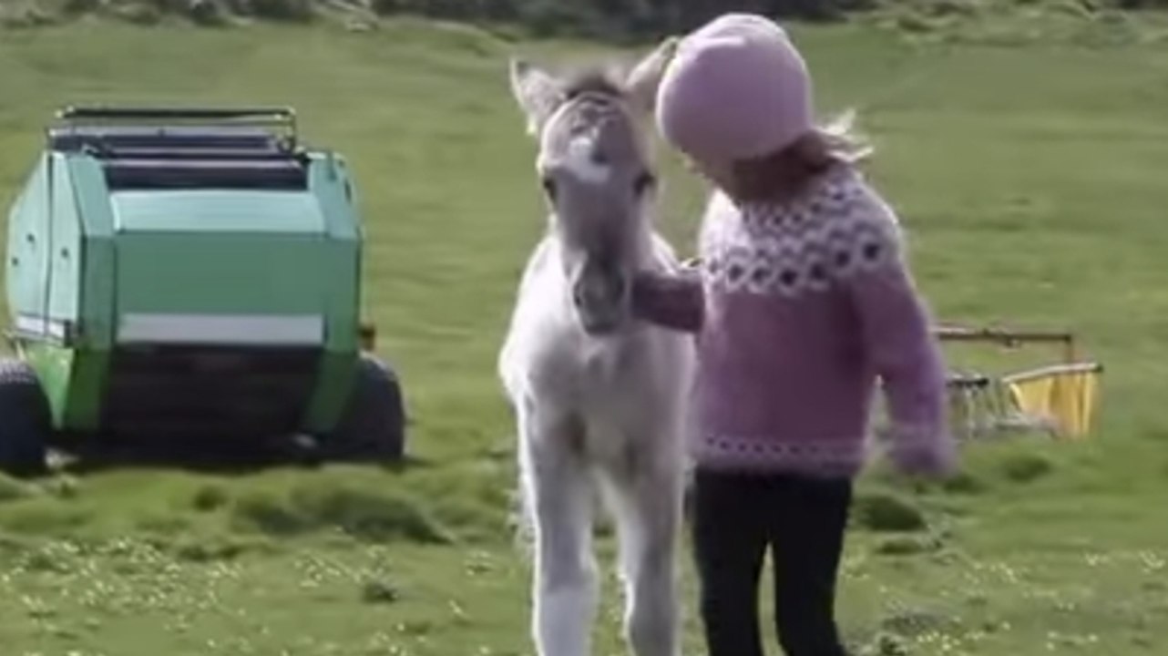 Cette fillette et ce poulain sont les meilleurs amis du monde. Leur complicité va vous émouvoir