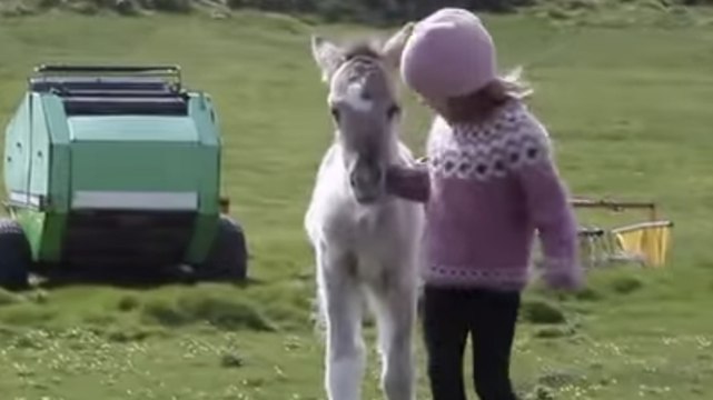Cette fillette et ce poulain sont les meilleurs amis du monde. Leur complicité va vous émouvoir