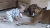 Ce chien adore jouer avec ce bébé. Leur complicité va vous faire fondre