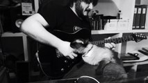 Cet homme est fan de hard-rock. Son chat, nettement moins