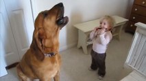 Ce musicien en herbe fait un duo avec son chien. Leur numéro va vous attendrir