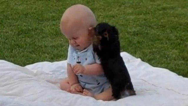 Ce bébé était assis bien tranquillement. Mais un chiot est venu tout bousculer