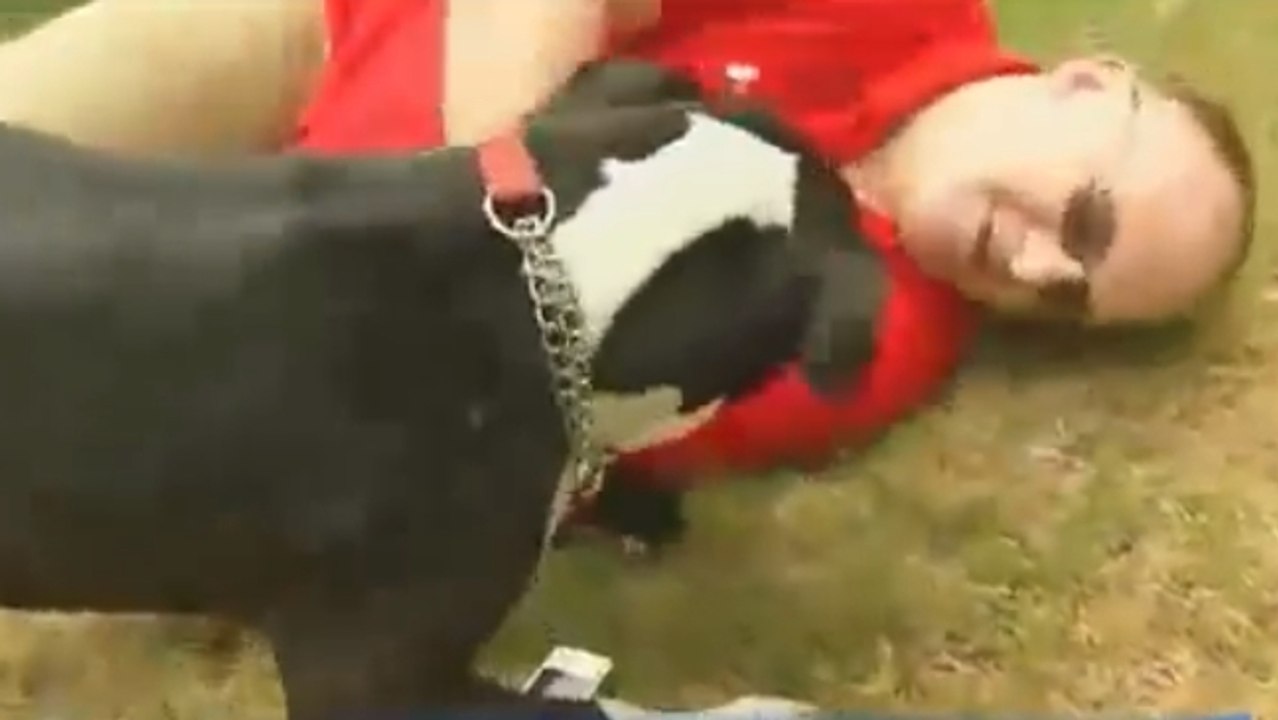 Ce chien a sauvé la vie de son maître. Vous ne devinerez jamais comment