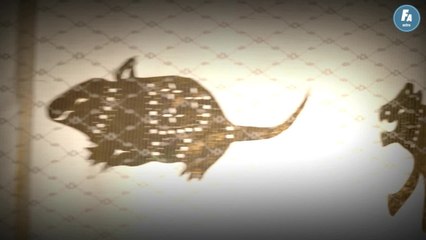 FEMME ACTUELLE - Horoscope chinois du jour du samedi 12 février 2022, Singe de Feu