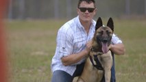 Ce chien avait sauvé la vie de ce militaire. Pour le remercier, il a décidé de l'adopter