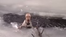 Ce chien était pris au piège des eaux glacées. Mais ces secouristes lui ont sauvé la vie