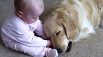 Ce bébé chahute avec un chien pendant qu'il mange. Des images attendrissantes