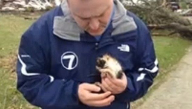 Cet homme était venu constater les dégâts causés par une tornade. Mais il a fait une découverte exceptionnelle