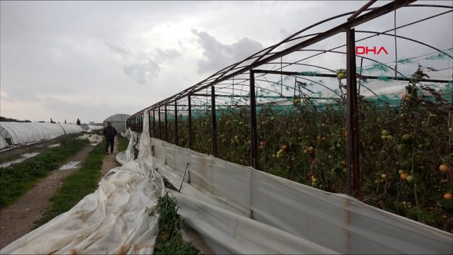Antalya'da hortum ve fırtına seralara zarar verdi