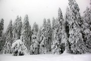 Bolu'nun yüksek kesimlerinde kar yağışı