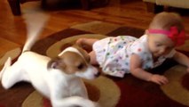 Ce chien apprend quelque chose d'étonnant à ce bébé. Regardez plutôt
